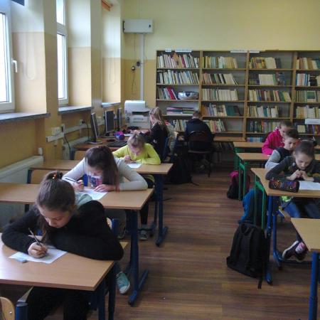 Wyświetl org. rozmiar