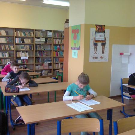 Wyświetl org. rozmiar