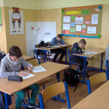 Wyświetl org. rozmiar