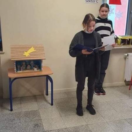 Wyświetl org. rozmiar