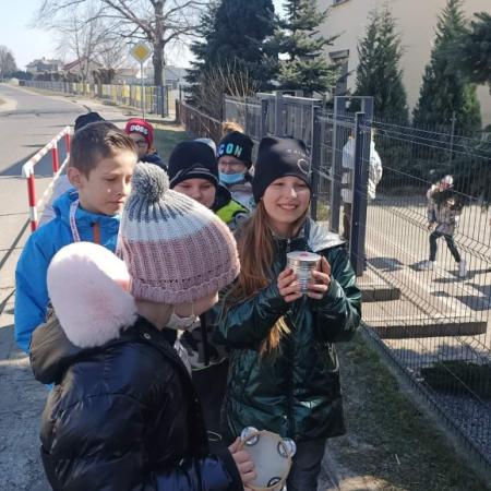 Wyświetl org. rozmiar