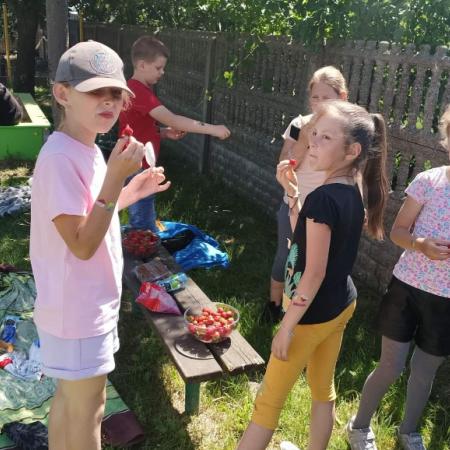 Wyświetl org. rozmiar
