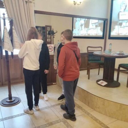 Wyświetl org. rozmiar