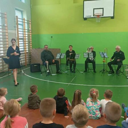 Wyświetl org. rozmiar