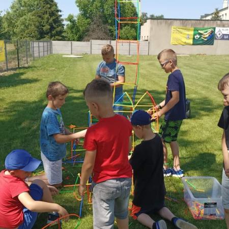 Wyświetl org. rozmiar