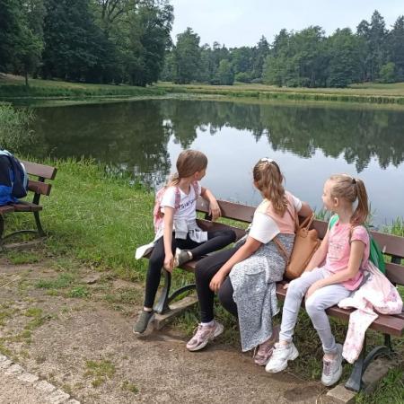 Wyświetl org. rozmiar