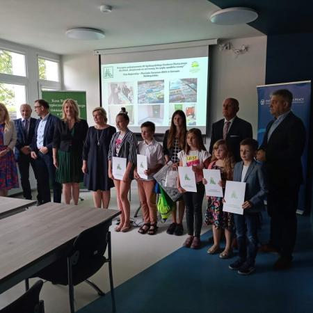 Wyświetl org. rozmiar