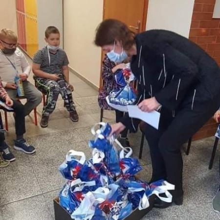 Wyświetl org. rozmiar