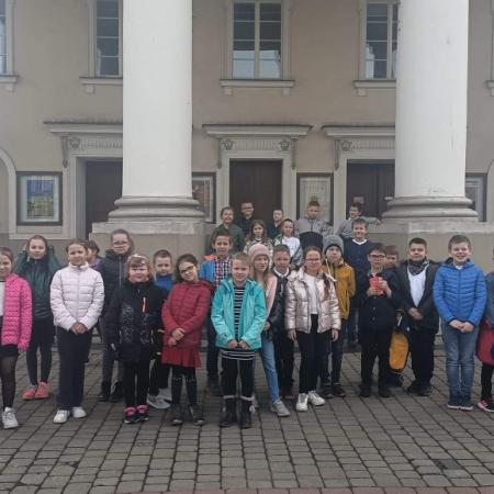 Wyświetl org. rozmiar