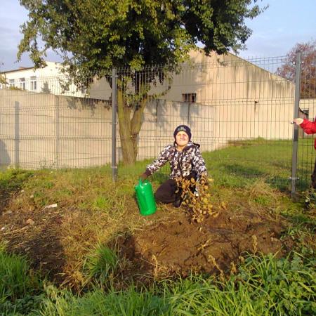 Wyświetl org. rozmiar
