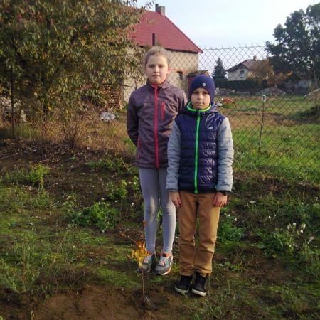 Wyświetl org. rozmiar