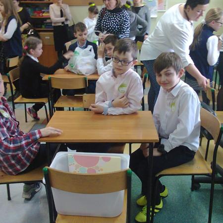 Wyświetl org. rozmiar