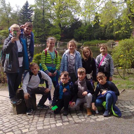 Wyświetl org. rozmiar