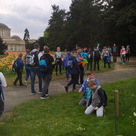 Wyświetl org. rozmiar