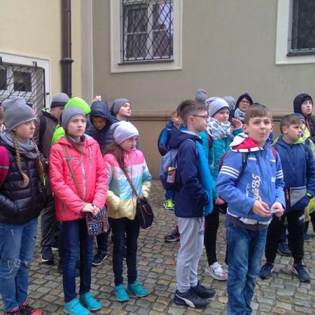 Wyświetl org. rozmiar